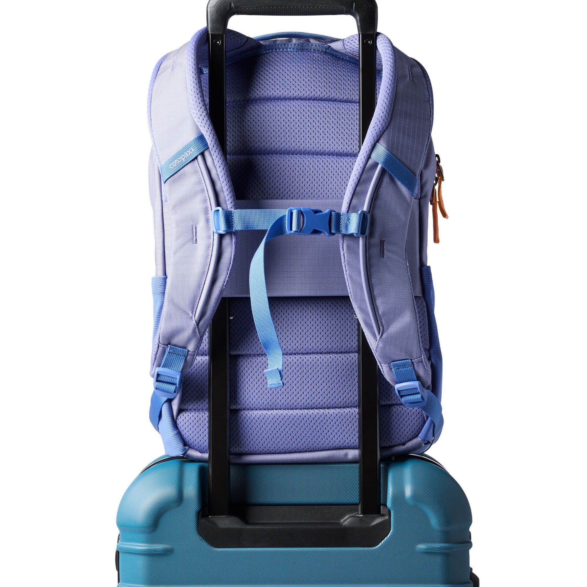 Cotopaxi Allpa 18L Daypack - Rucksack 43 cm (aster) - Image 6
