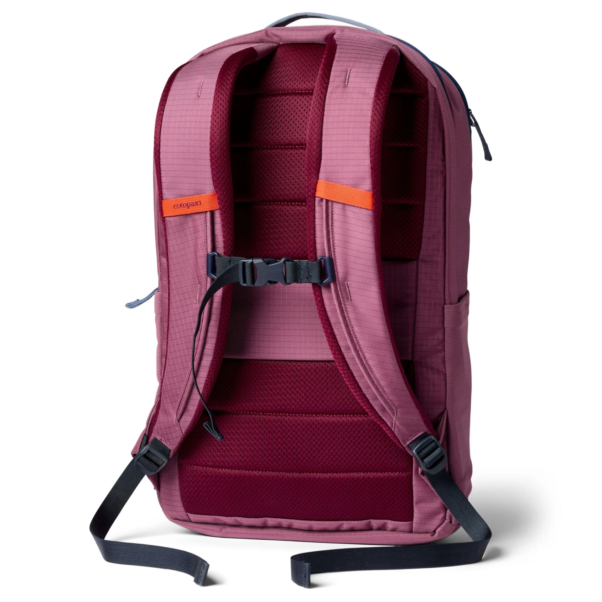 Cotopaxi Allpa 26L Daypack - Rucksack 52 cm (fig) - Image 2