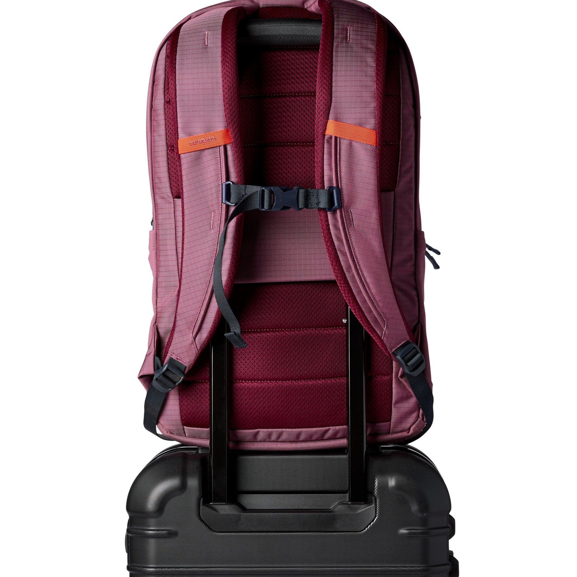 Cotopaxi Allpa 26L Daypack - Rucksack 52 cm (fig) - Image 5