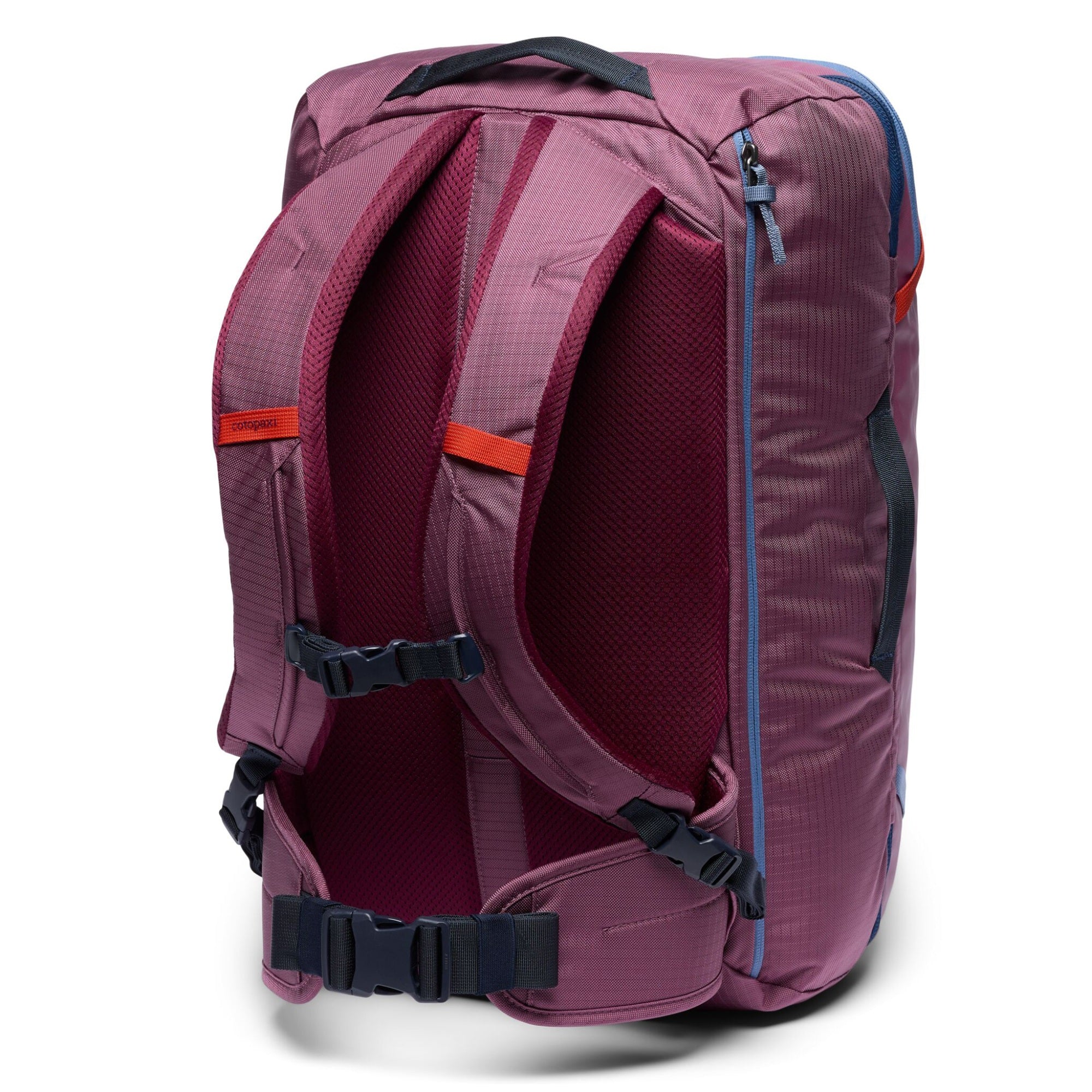 Cotopaxi Allpa 35L Travel Pack - Reiserucksack 56 cm (fig) - Image 2