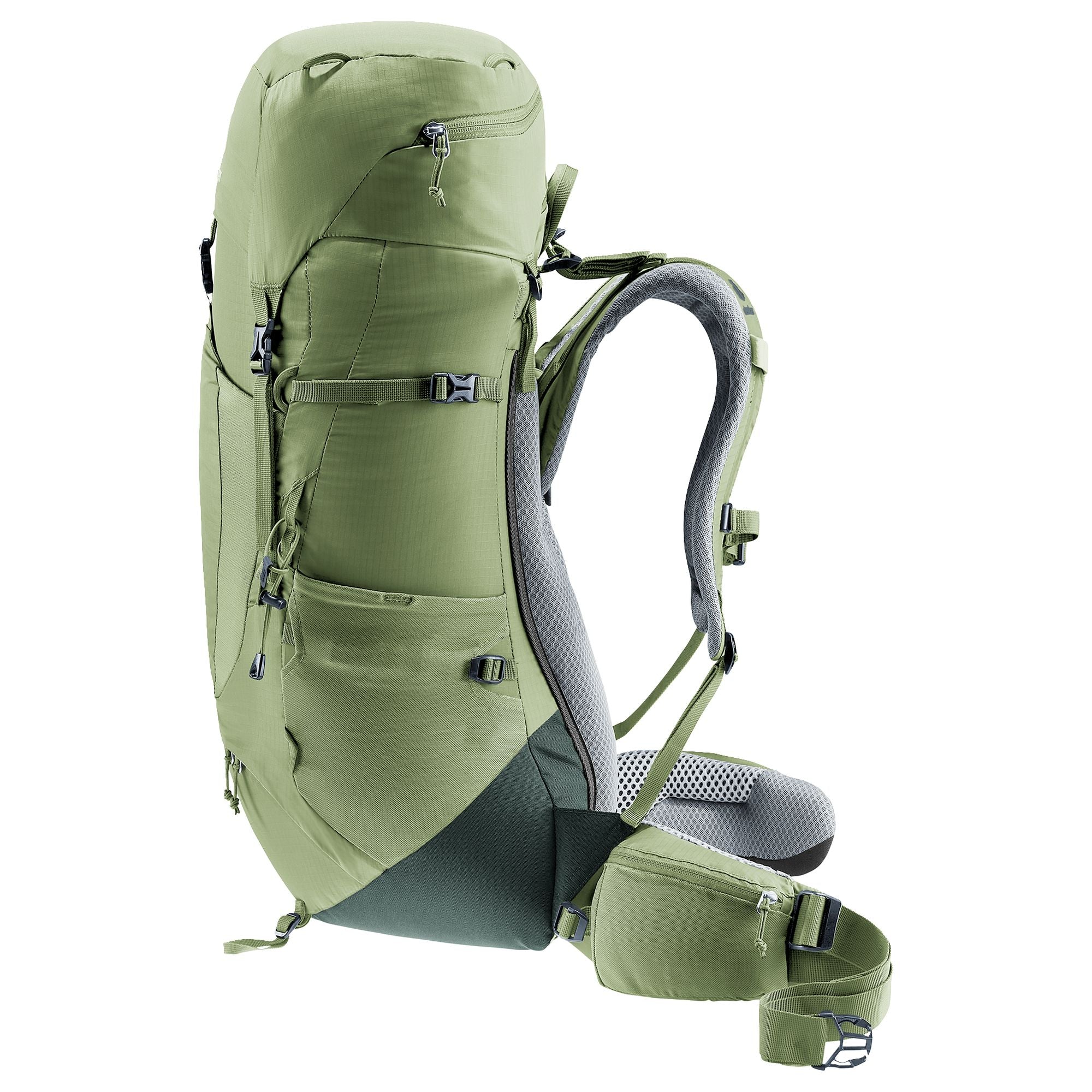 Deuter Aircontact Lite 35 + 10 SL - Women's Trekkingrucksack 70 cm (grove-ivy) - Image 2