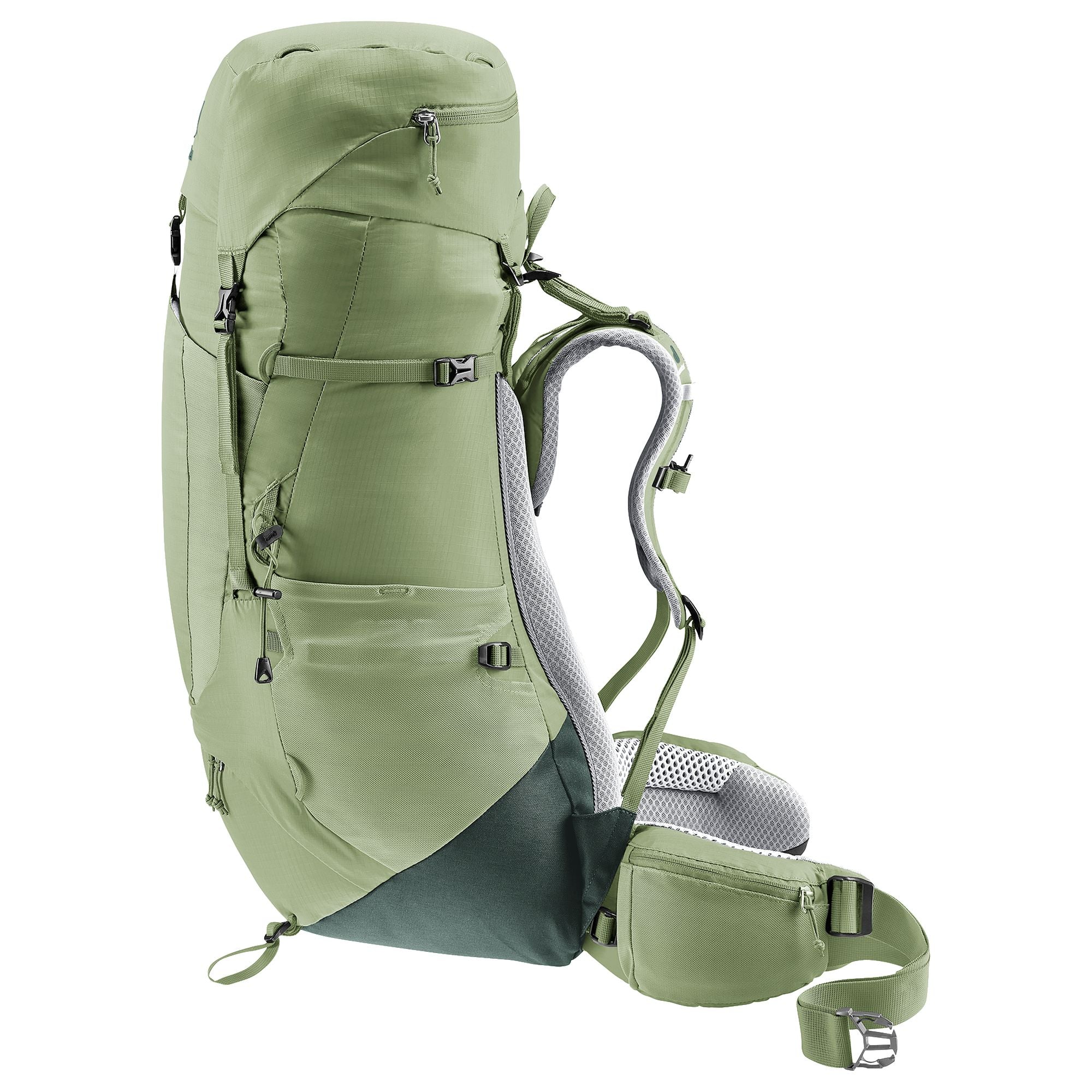 Deuter Aircontact Lite 45 + 10 SL - Women's Trekkingrucksack 73 cm (grove-ivy) - Image 2
