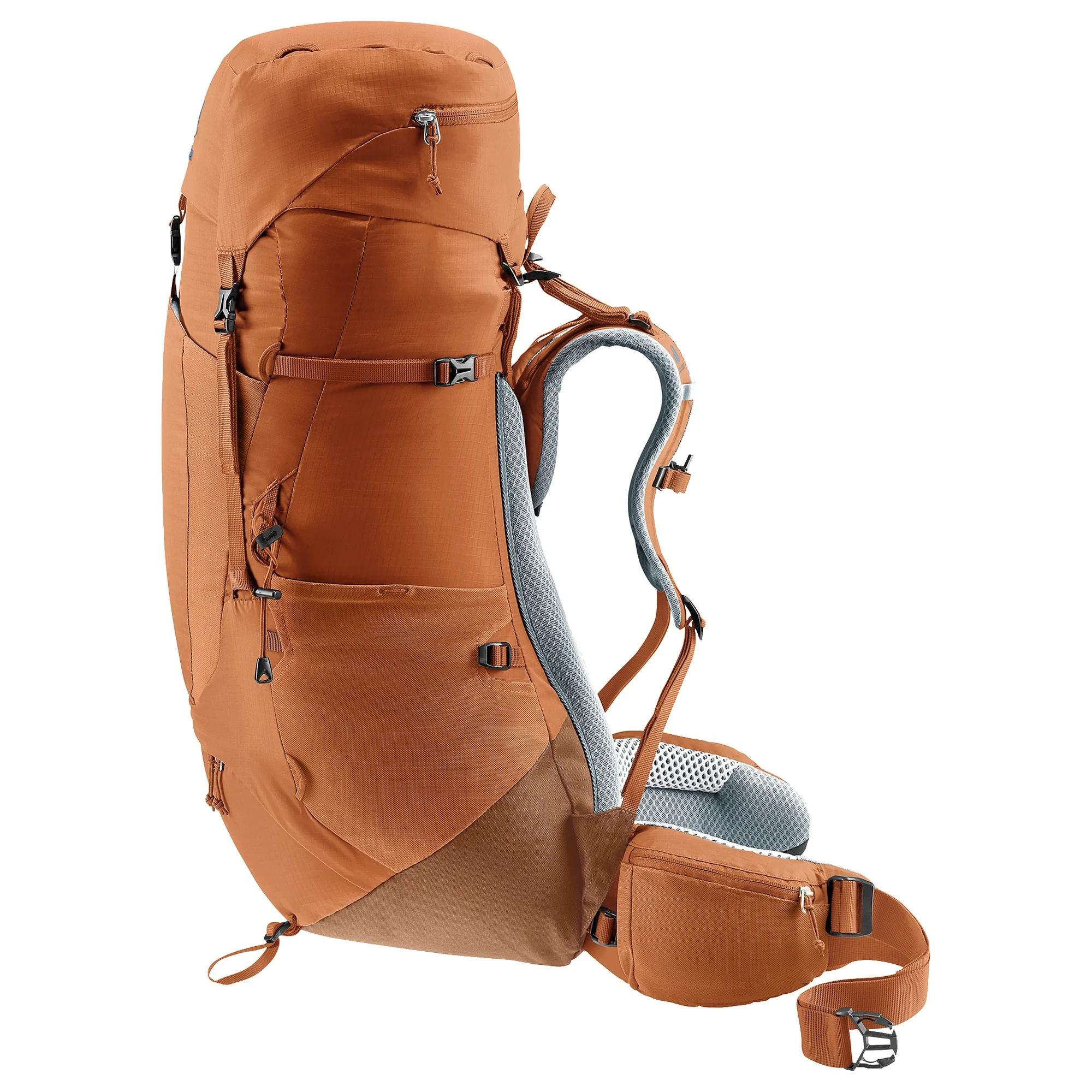 Deuter Aircontact Lite 45 + 10 SL - Women's Trekkingrucksack 73 cm (pecan-mocha) - Image 4
