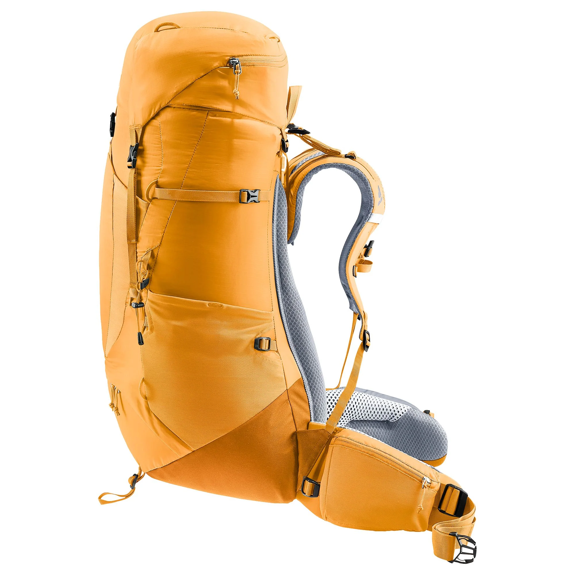 Deuter Aircontact Lite 50 + 10 - Trekkingrucksack 76 cm (amber-maple) - Image 2