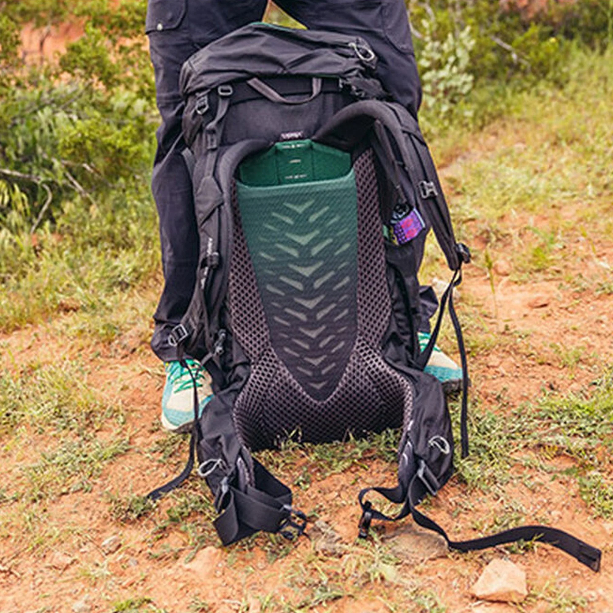 Gregory Stout 70 - Wanderrucksack 80 cm (forest black) - Image 4