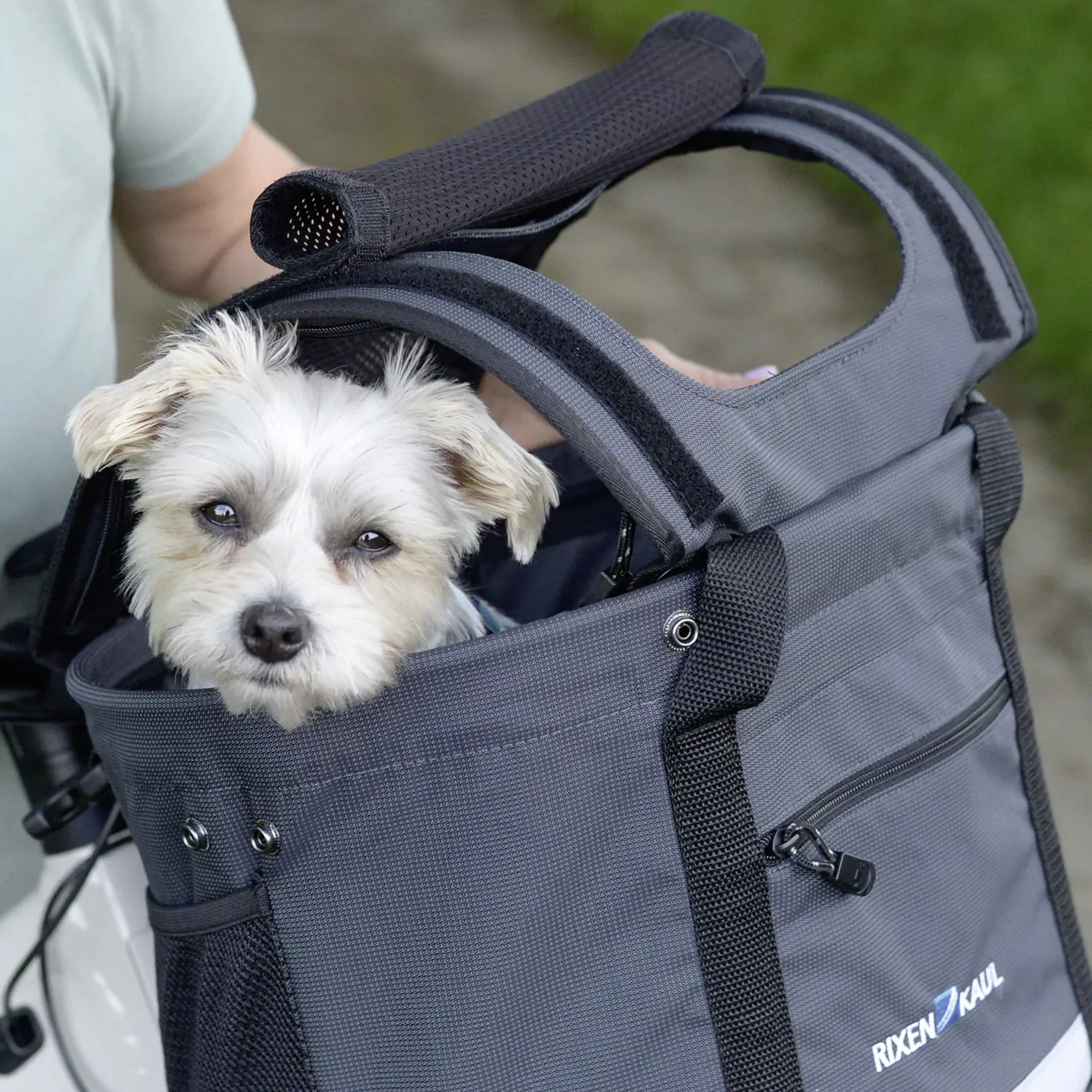 KLICKfix Doggy Sunshade - Sonnenschutz (schwarz) - Image 4