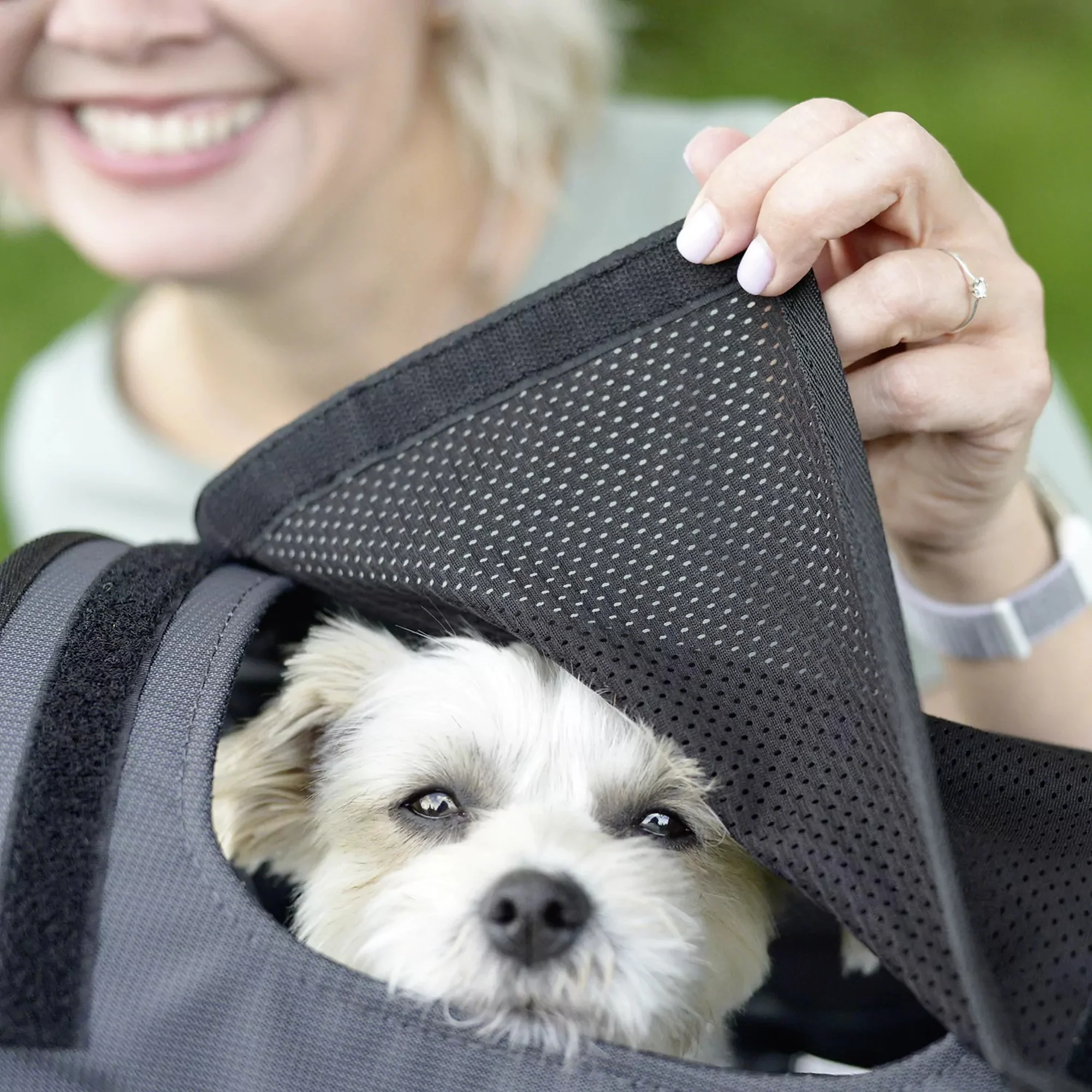 KLICKfix Doggy Sunshade - Sonnenschutz (schwarz) - Image 5