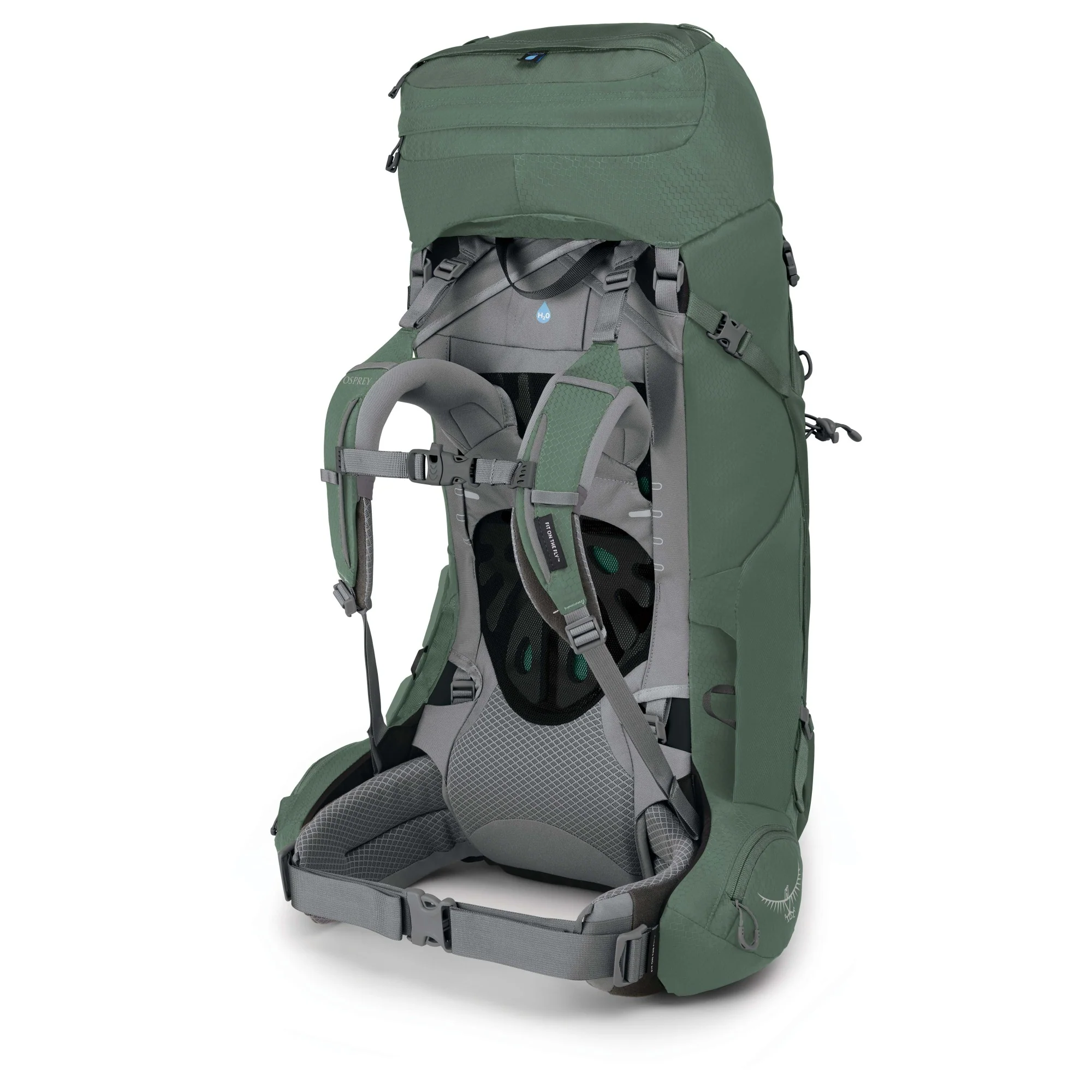 Osprey Ariel 55 Women - Trekkingrucksack 73 cm (koseret green) - Image 2