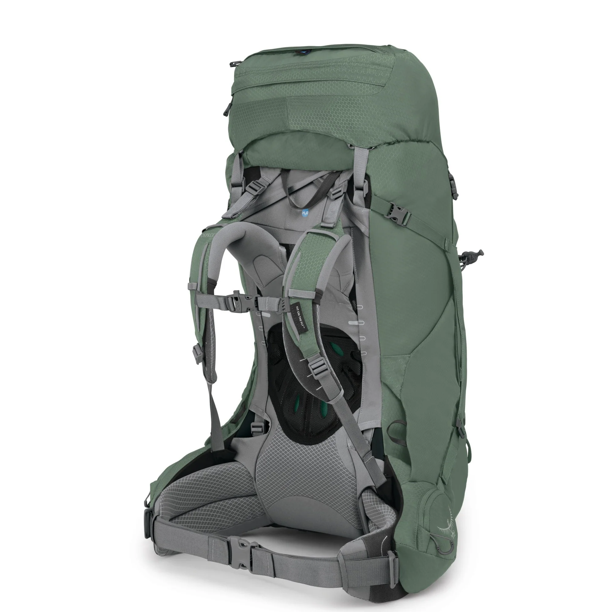 Osprey Ariel 65 Women - Trekkingrucksack 75 cm (koseret green, XS/S) - Image 2