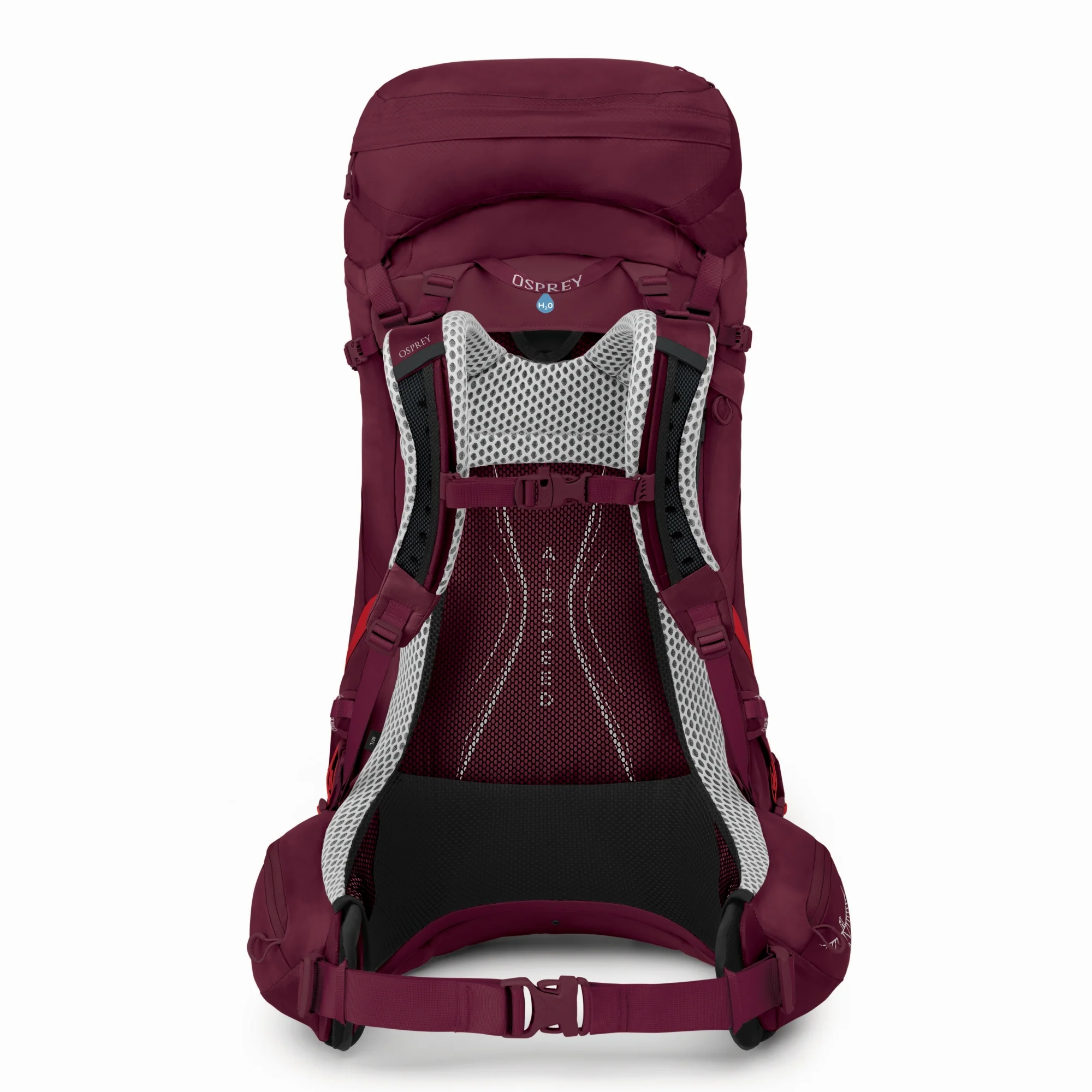 Osprey Aura AG LT 50 WXS/S - Trekkingrucksack 75 cm (antidote purple) - Image 3