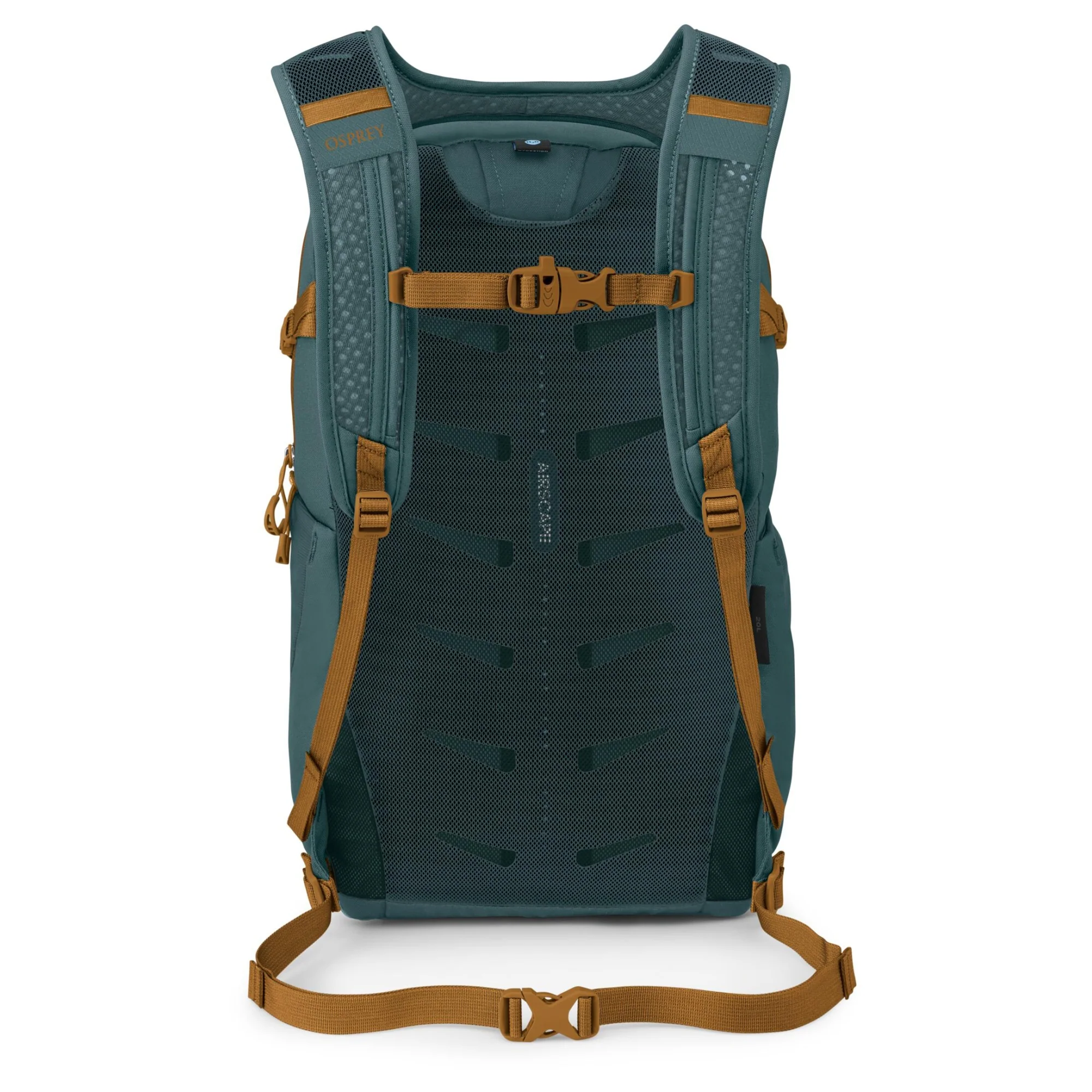 Osprey Daylite Plus - Rucksack 14" 48 cm (torrent blue) - Image 3