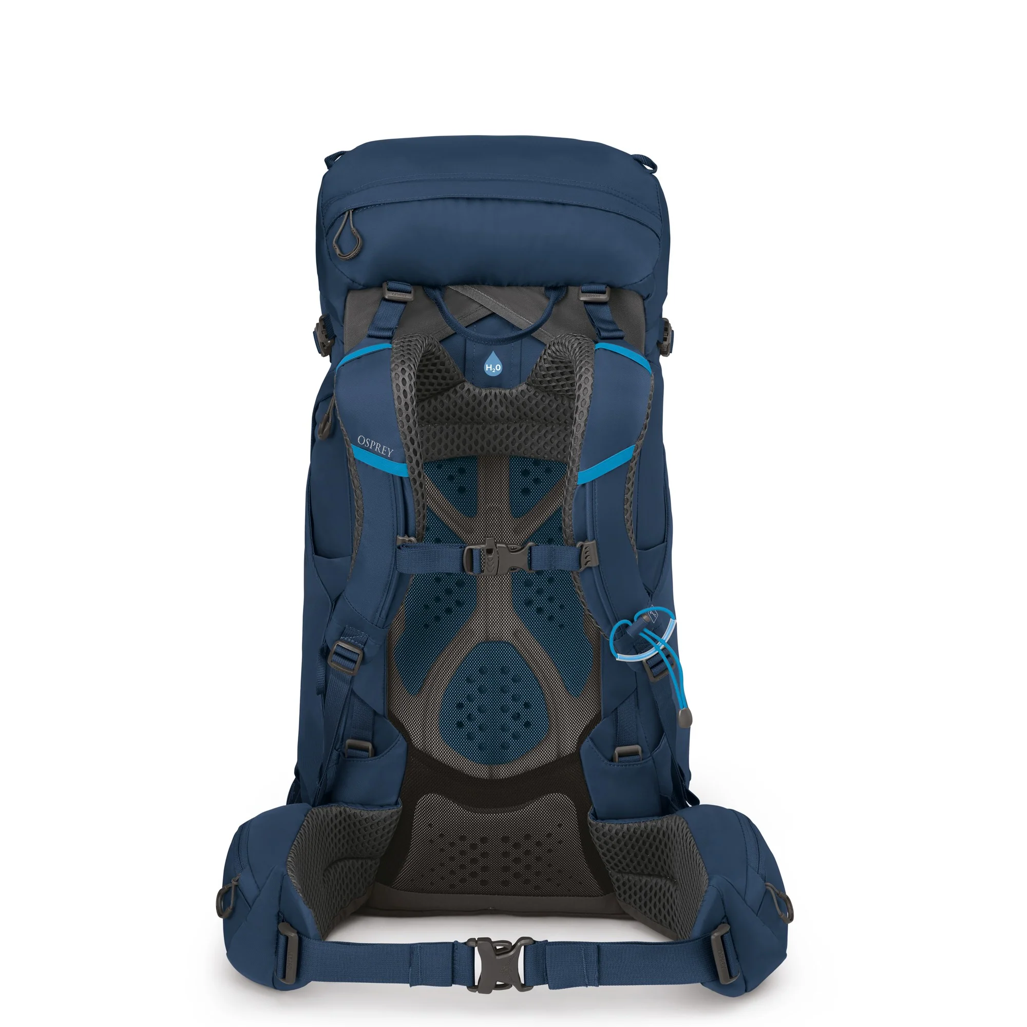 Osprey Kestrel 38 L/XL - Trekkingrucksack 79 cm (atlas blue) - Image 2