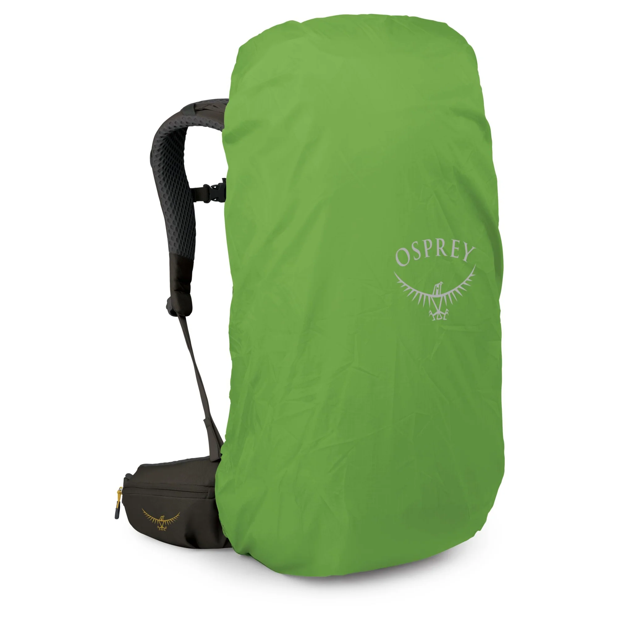 Osprey Kestrel LT 45 - Wanderrucksack 68 cm (moss green) - Image 4