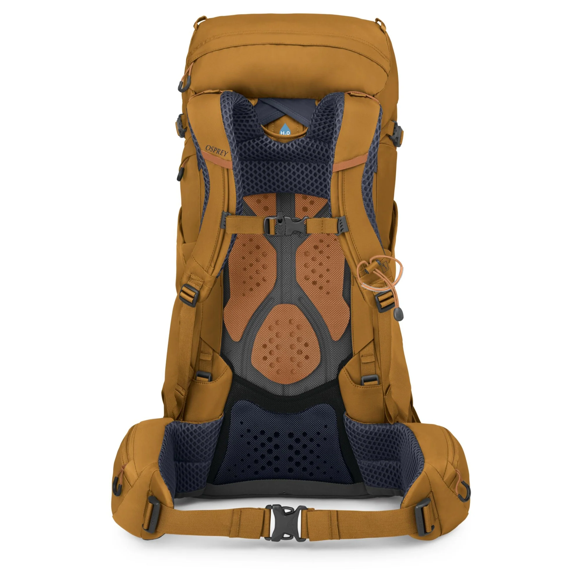 Osprey Kyte 38 Women -Wanderrucksack XS-S 66 cm (barley brown) - Image 3