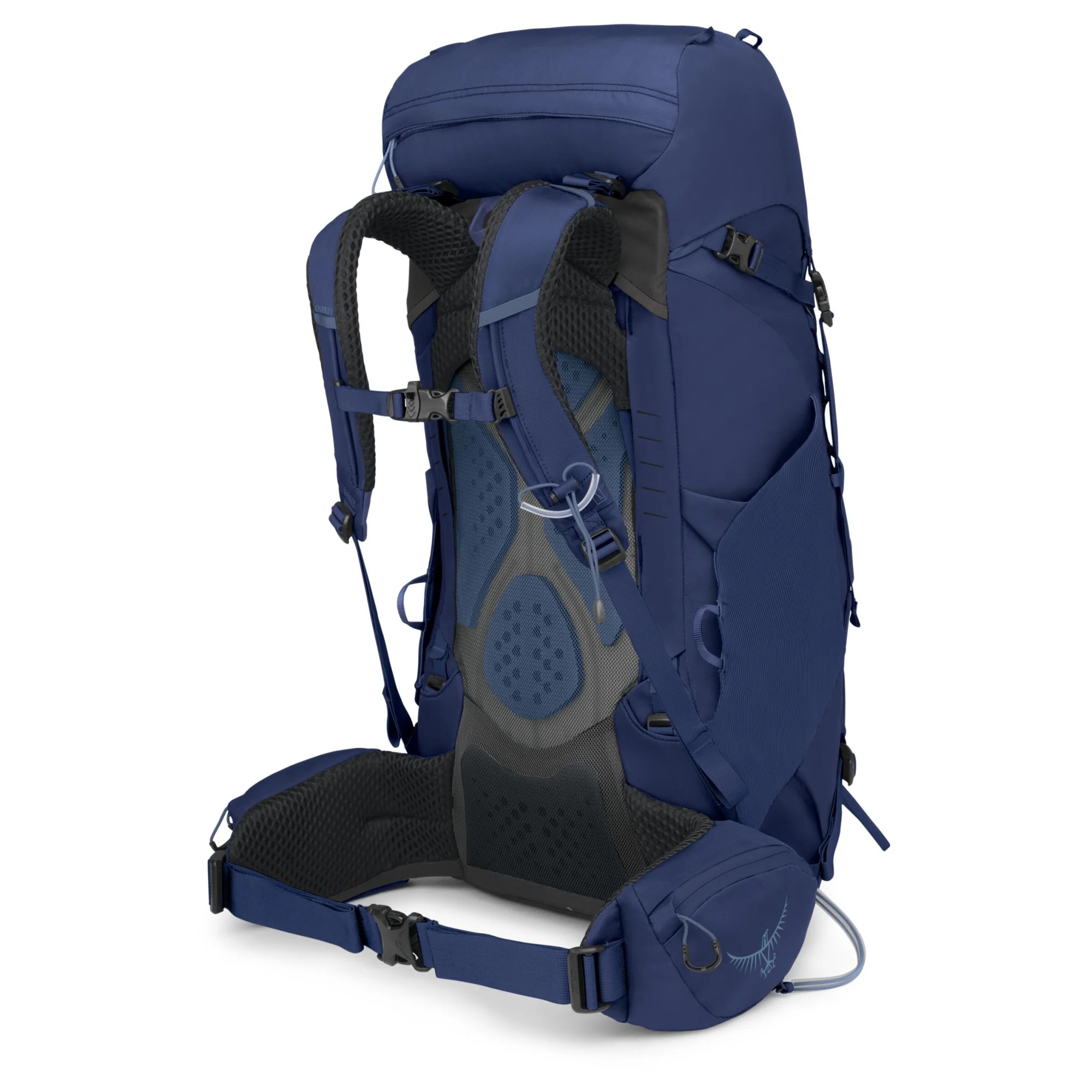 Osprey Kyte 38 Women XS/S - Trekkingrucksack 66 cm (serenity blue) - Image 2