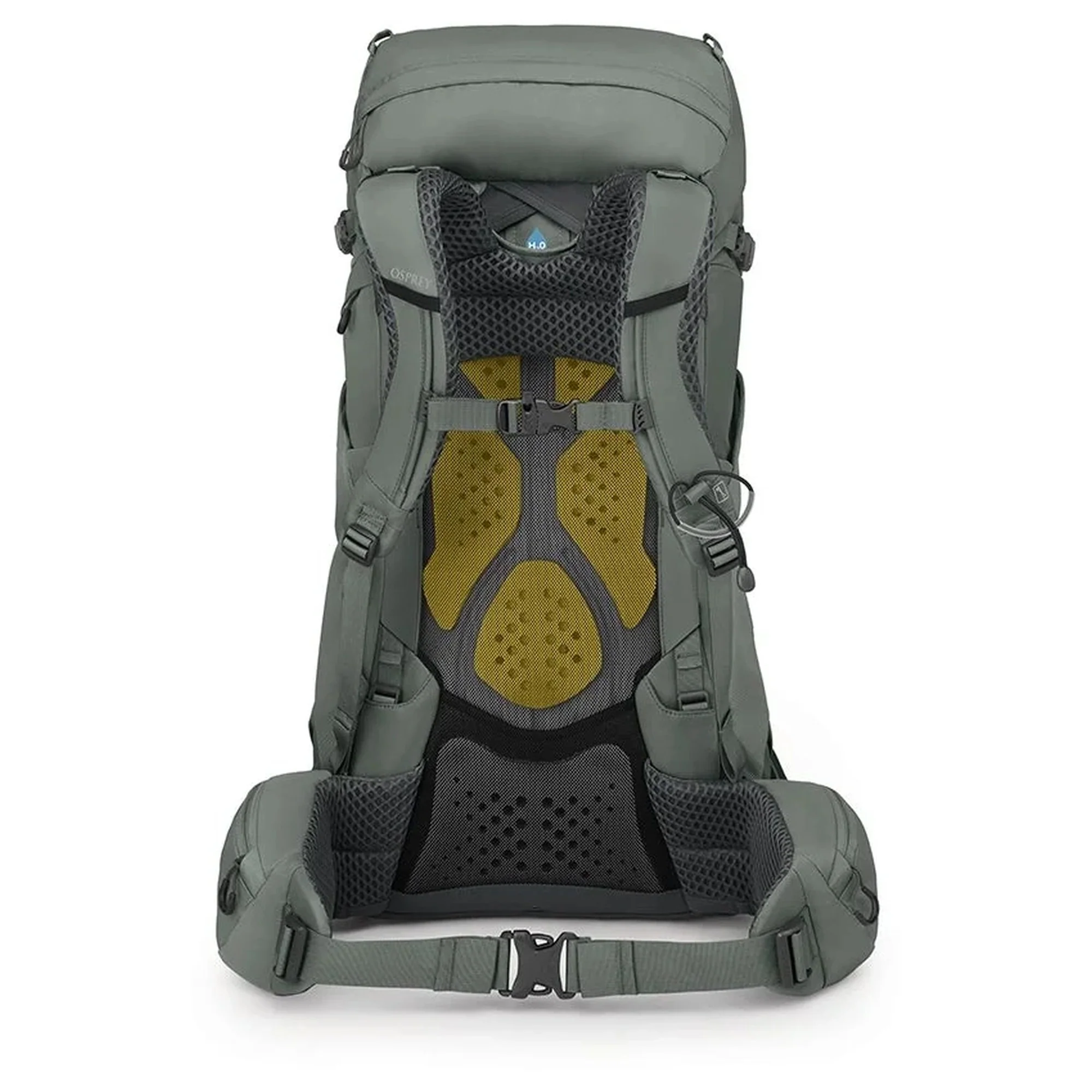 Osprey Kyte 38 WXS/S - Trekkingrucksack 66 cm (rocky brook green) - Image 2