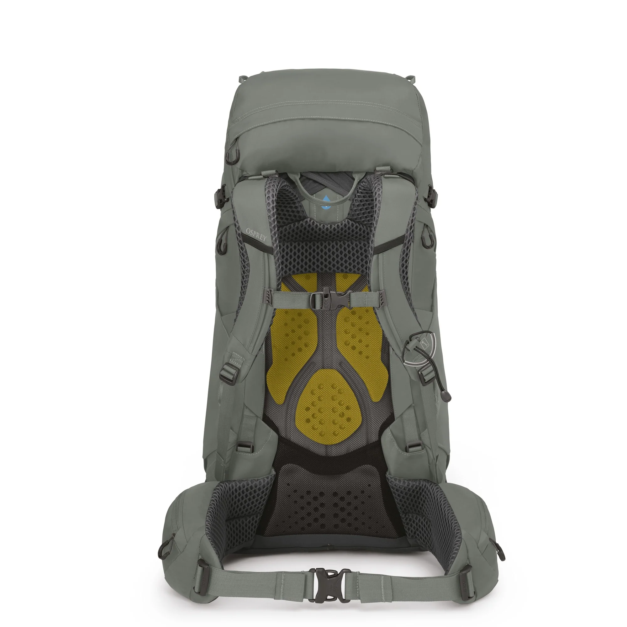 Osprey Kyte 48 WM/L - Trekkingrucksack 71 cm (rocky brook green) - Image 3
