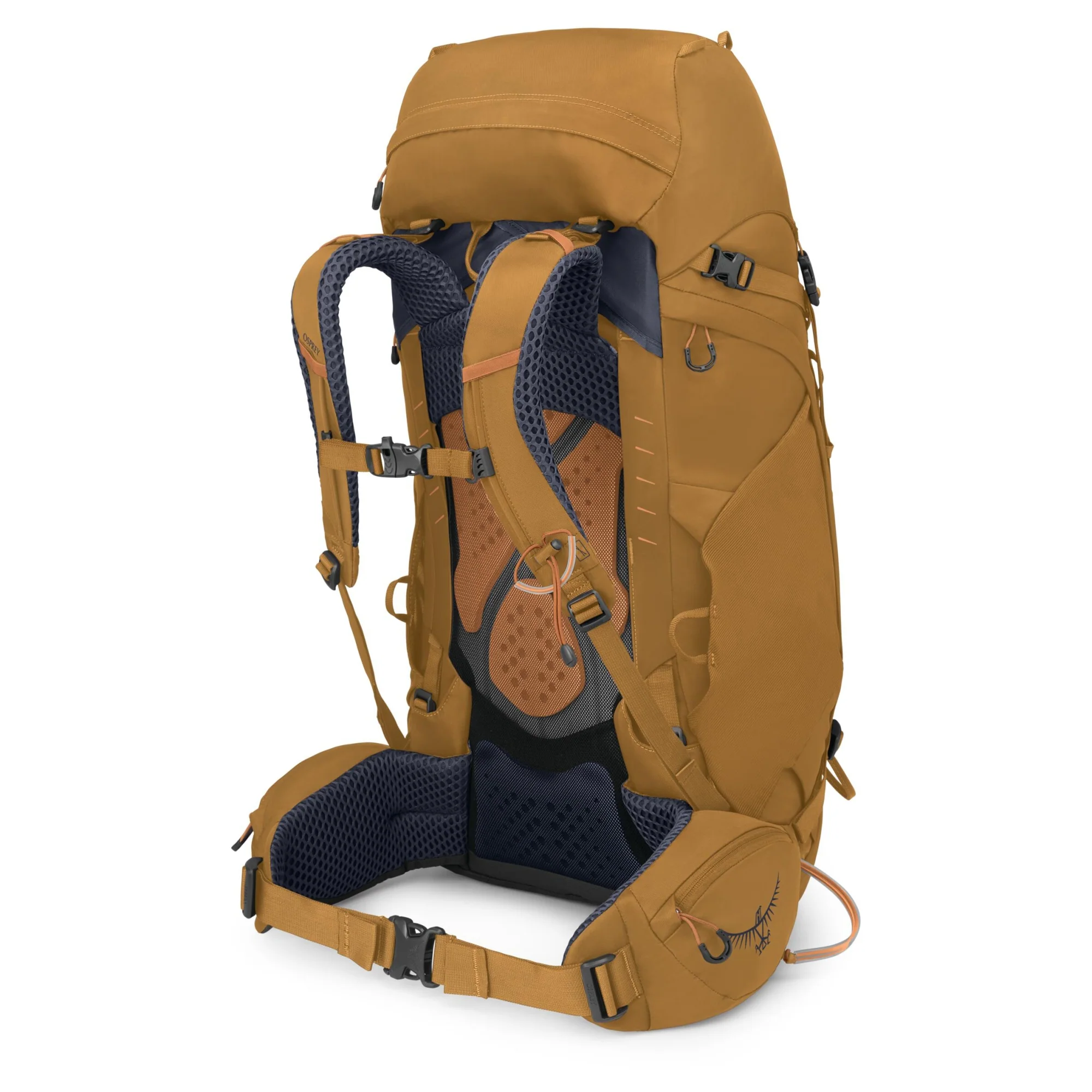 Osprey Kyte 48 Women XS/S - Trekkingrucksack 66 cm (barley brown) - Image 2