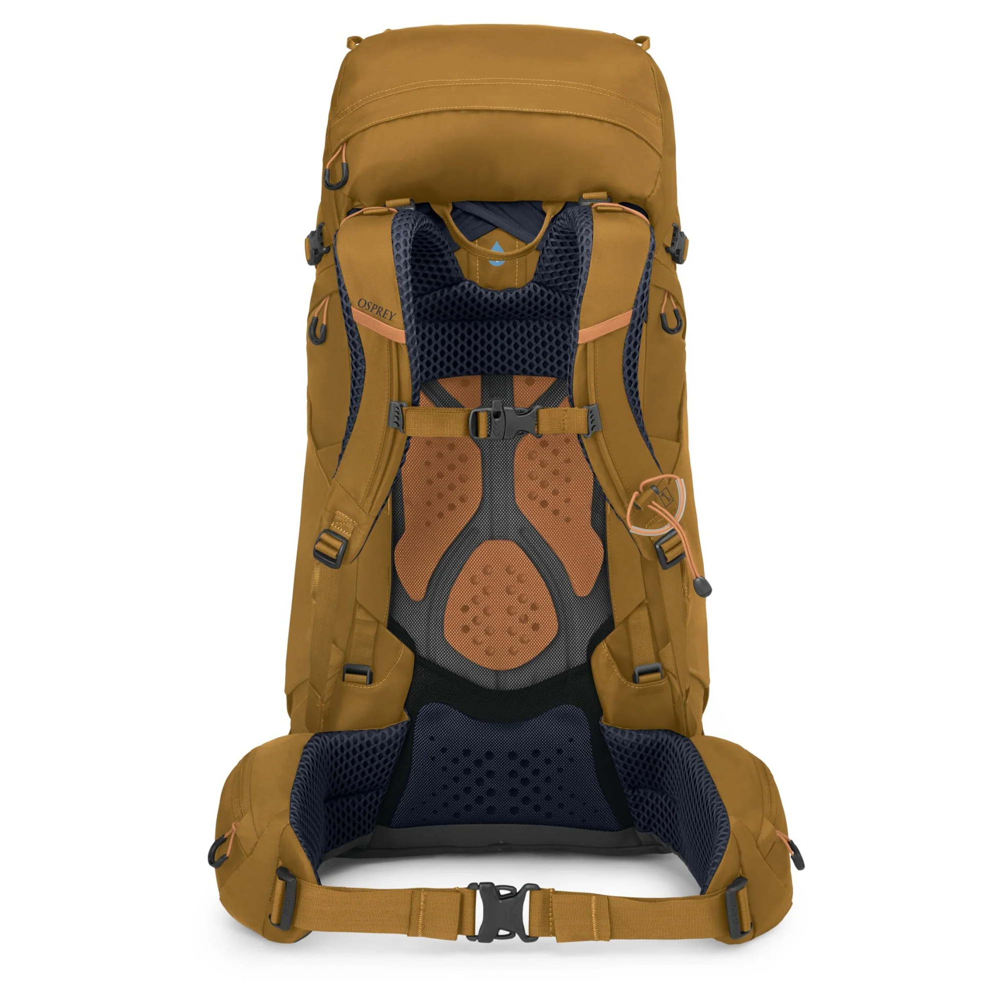 Osprey Kyte 48 Women XS/S - Trekkingrucksack 66 cm (barley brown) - Image 3