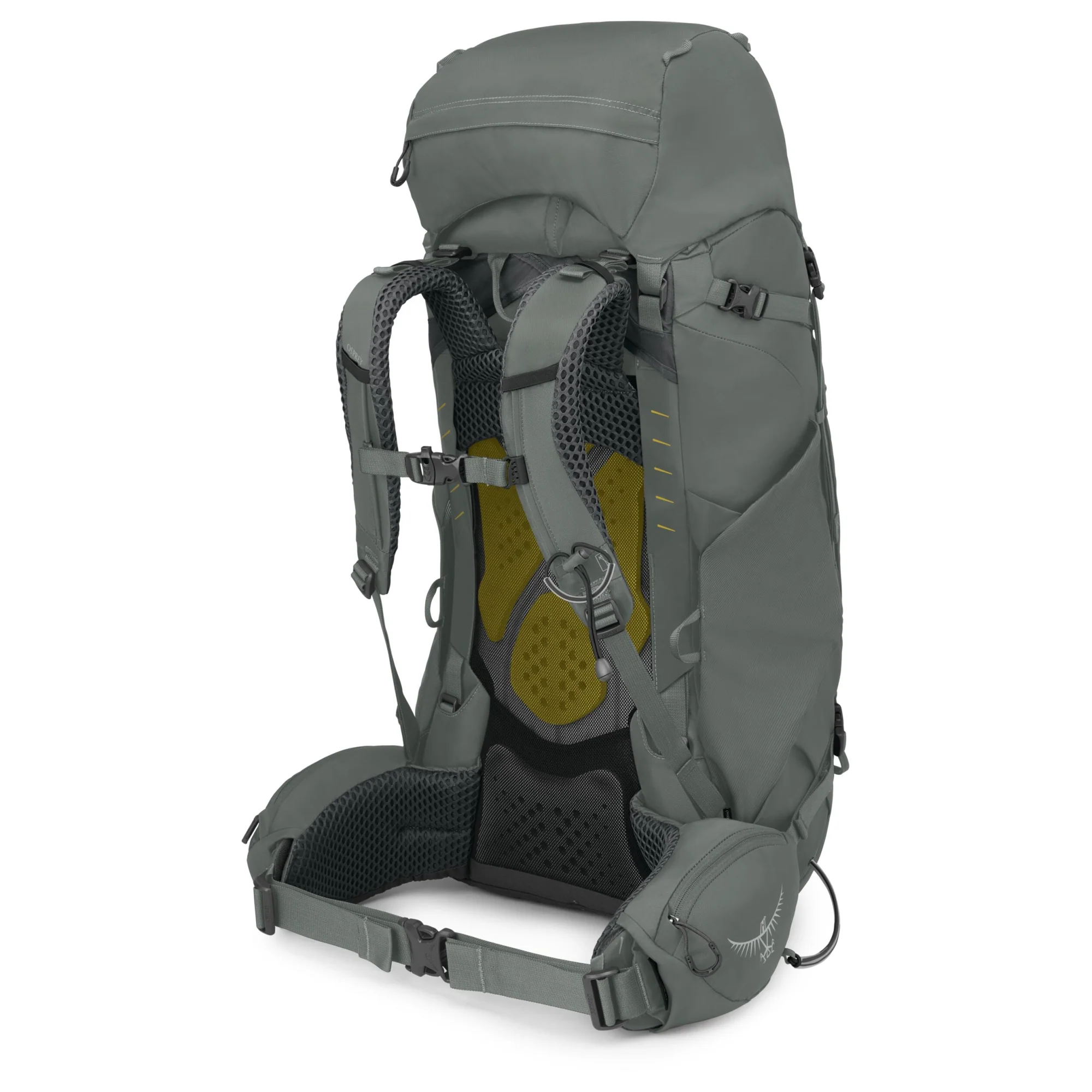 Osprey Kyte 56 Women - Wanderrucksack XS/S 70 cm (rocky brook green) - Image 2