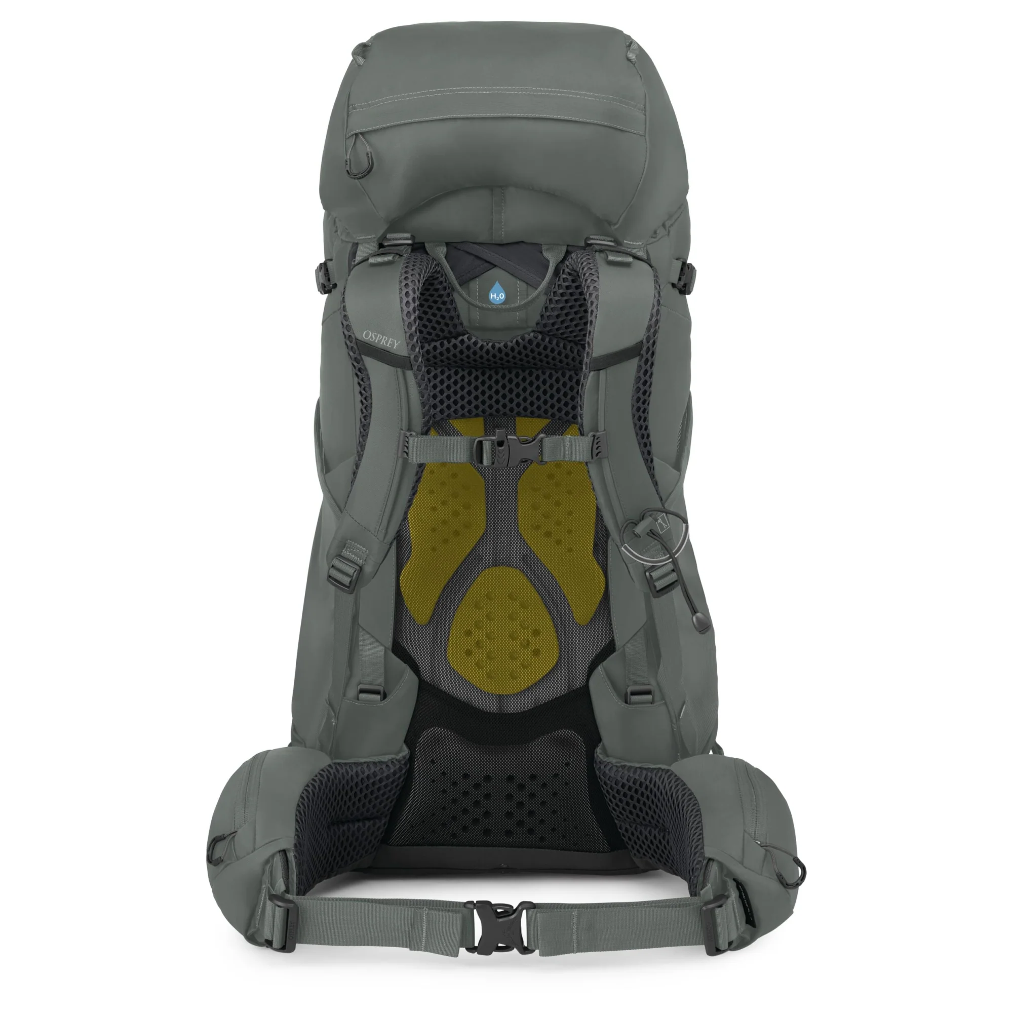 Osprey Kyte 56 Women - Wanderrucksack XS/S 70 cm (rocky brook green) - Image 3