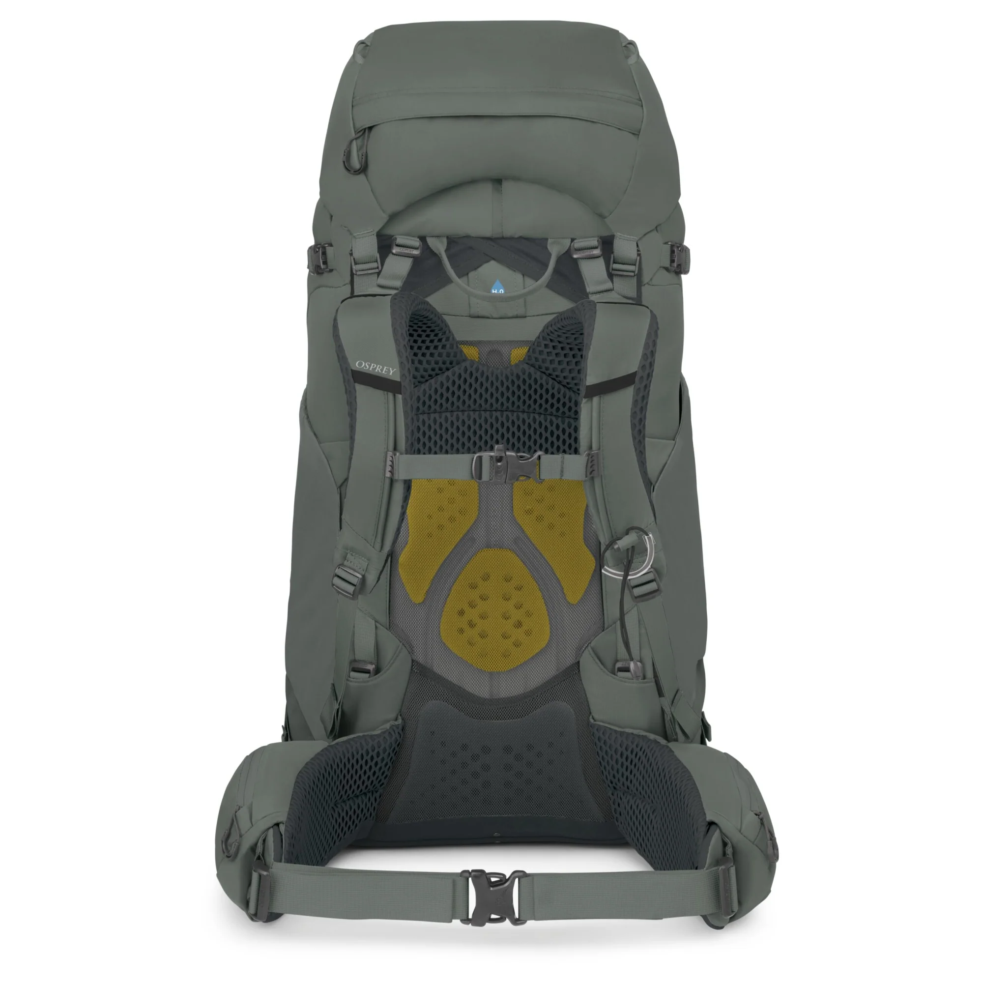 Osprey Kyte 68 Women XS/S - Trekkingrucksack 70 cm (brook green) - Image 3