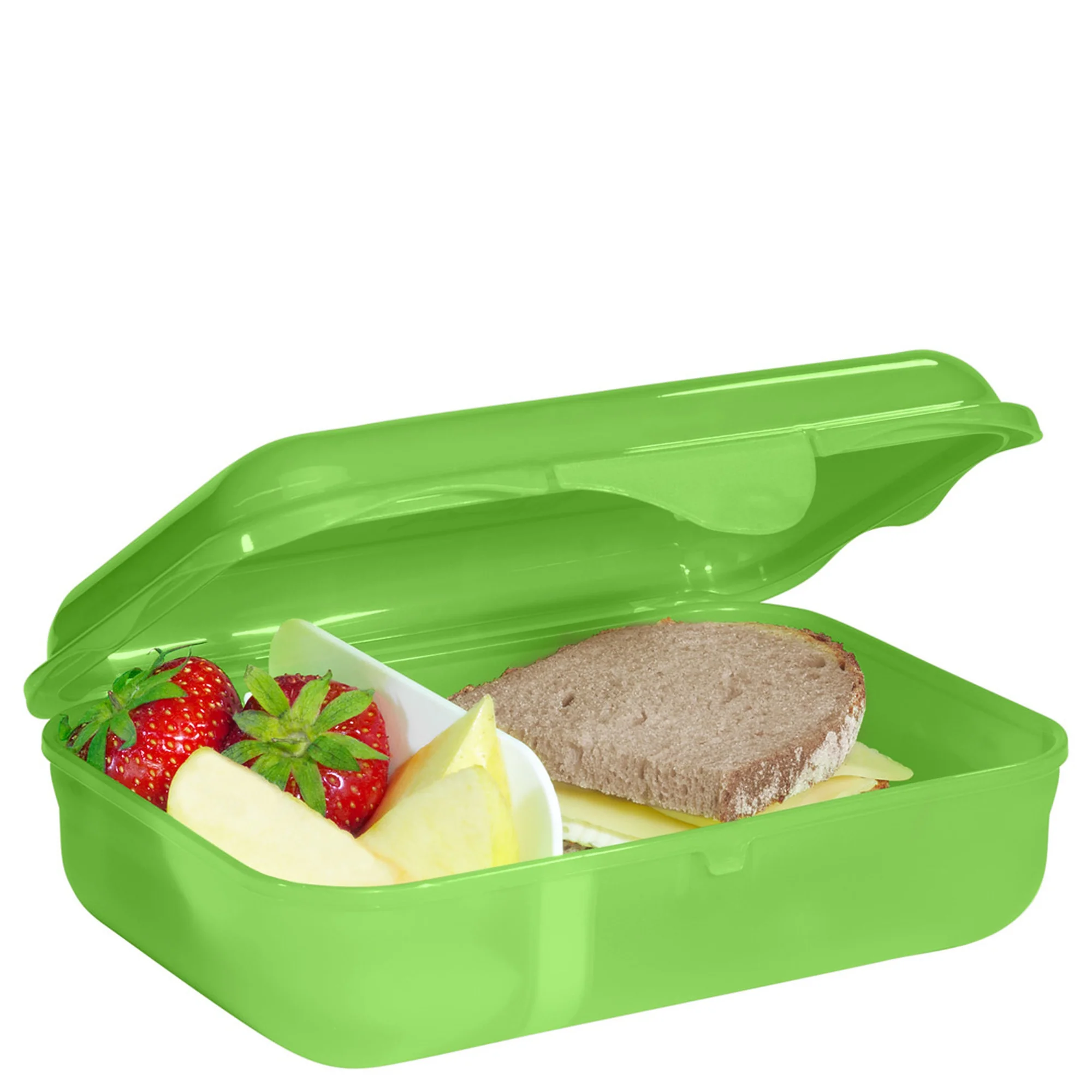 Step by Step Zubehör Lunchbox 17.5 cm - Brotzeitbox (Dino Targo) - Image 2